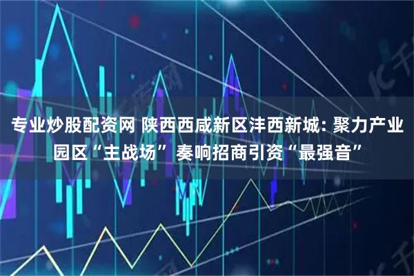 专业炒股配资网 陕西西咸新区沣西新城: 聚力产业园区“主战场” 奏响招商引资“最强音”