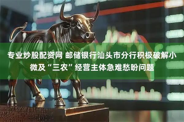 专业炒股配资网 邮储银行汕头市分行积极破解小微及“三农”经营主体急难愁盼问题